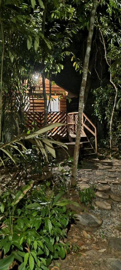 马瑙斯 Refugio Samauma酒店 外观 照片